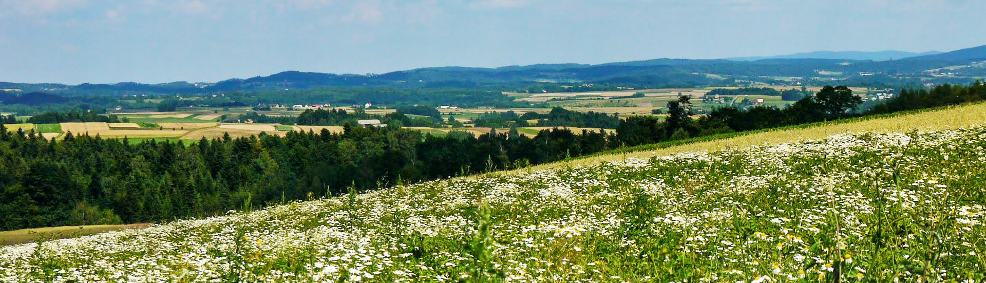 Natura